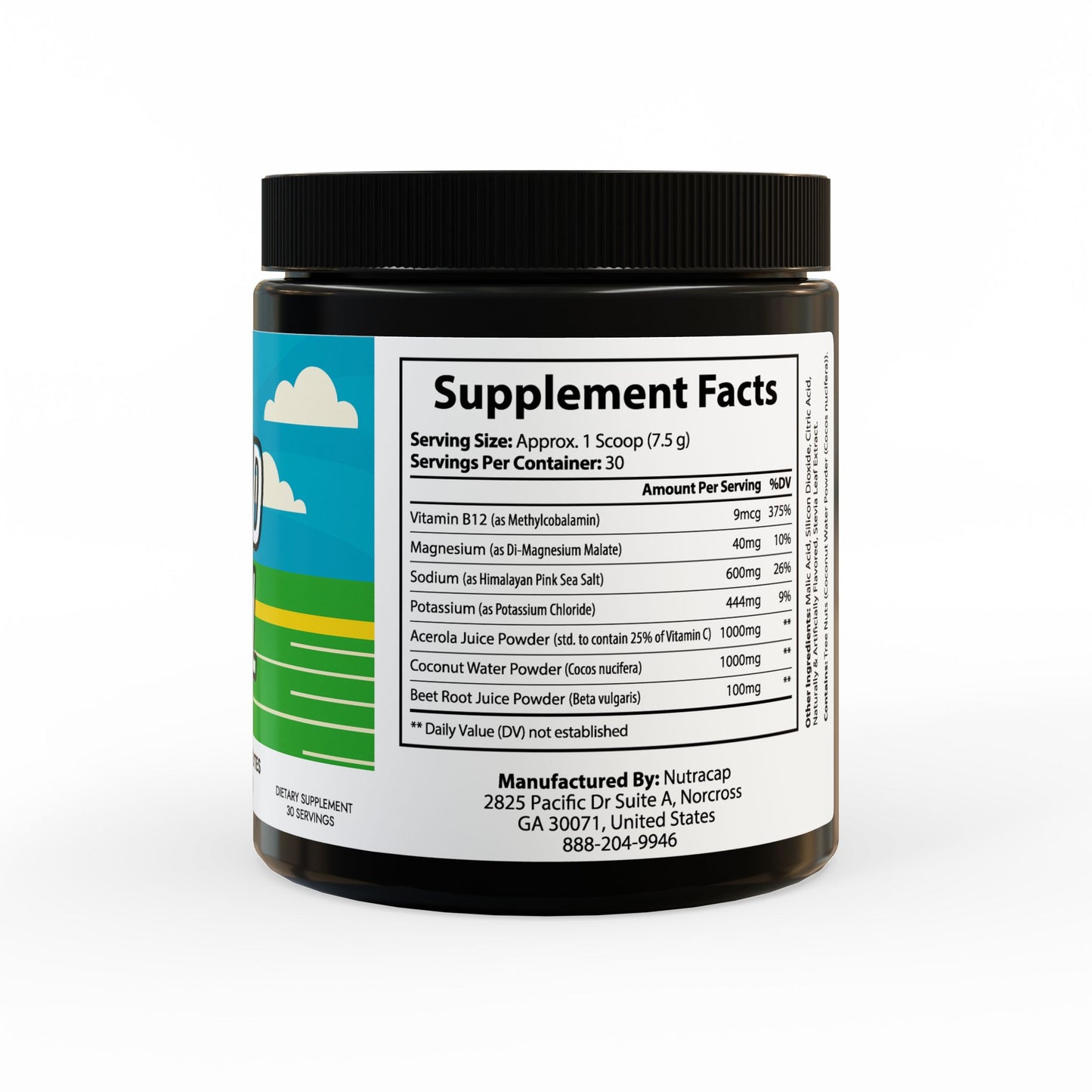 Band Fuel - Electrolyte Supplement